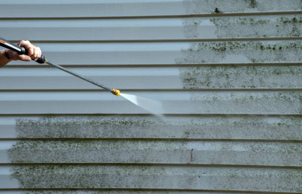 Best Professional Mold Removal  in San Saba, TX