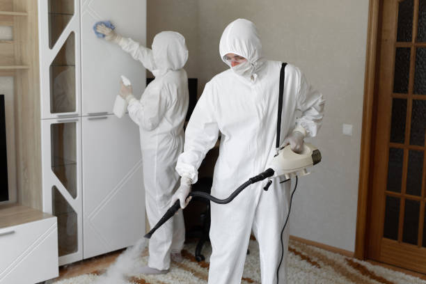 Best Professional Mold Removal  in San Saba, TX
