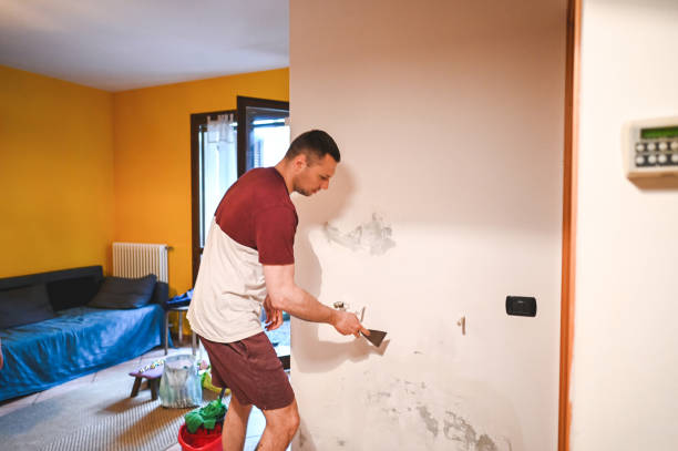Best Commercial Mold Removal  in San Saba, TX
